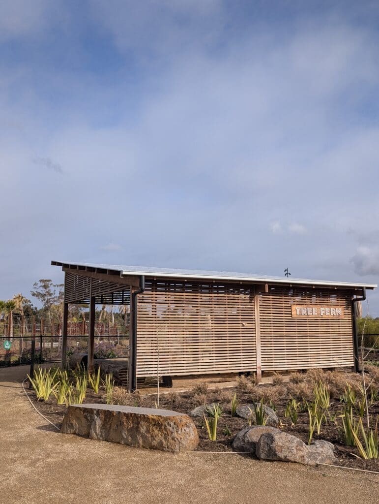 Treefern Shelter space