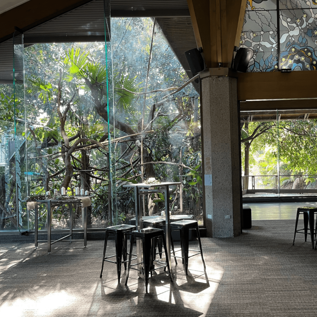 Rainforest Room Kids Birthday Parties Melbourne Zoo