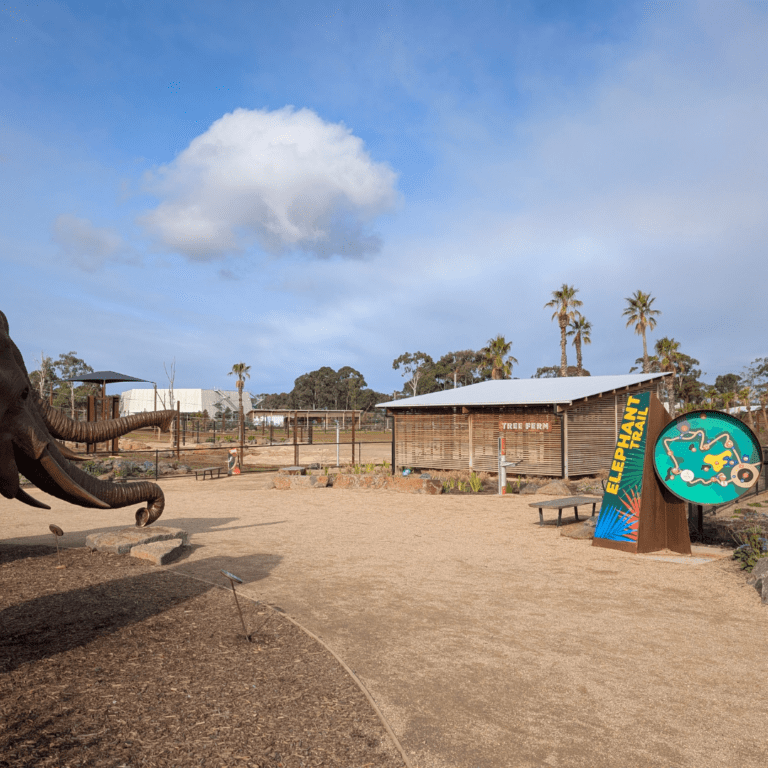 Tree Fern Shelter for Kids Parties at Werribee Open Range Zoo