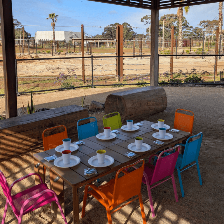 Kids Parties at Werribee Open Range Zoo